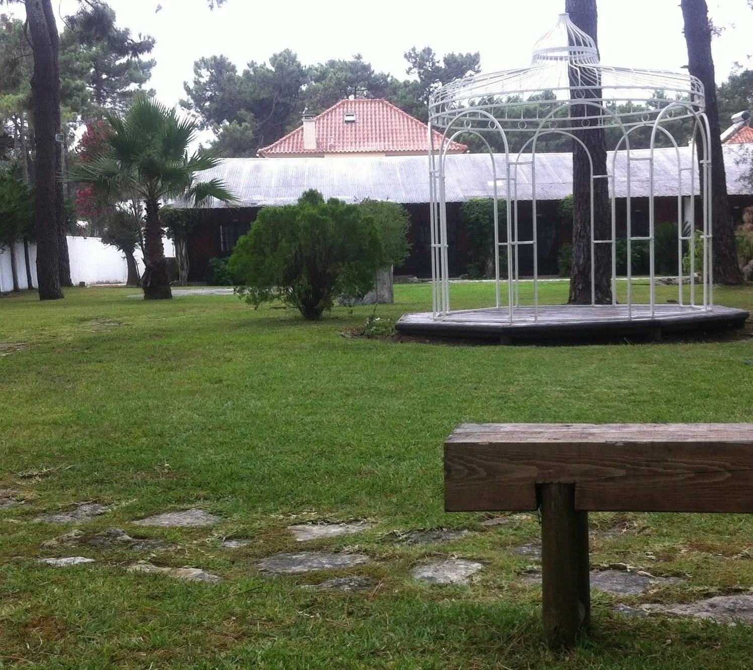 Limpeza de Terrenos e Poda de Árvores